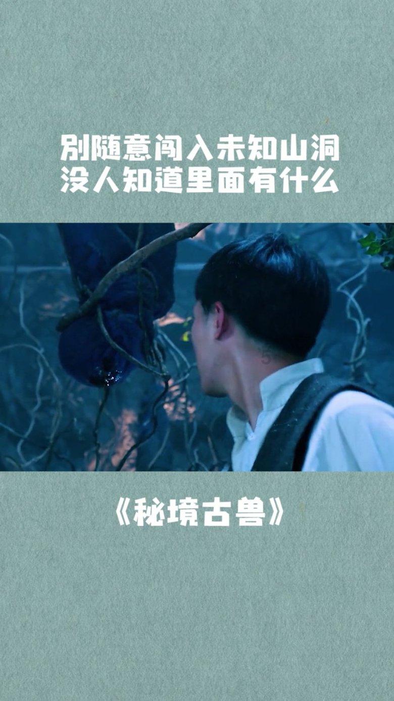 荣耀之剑中文版