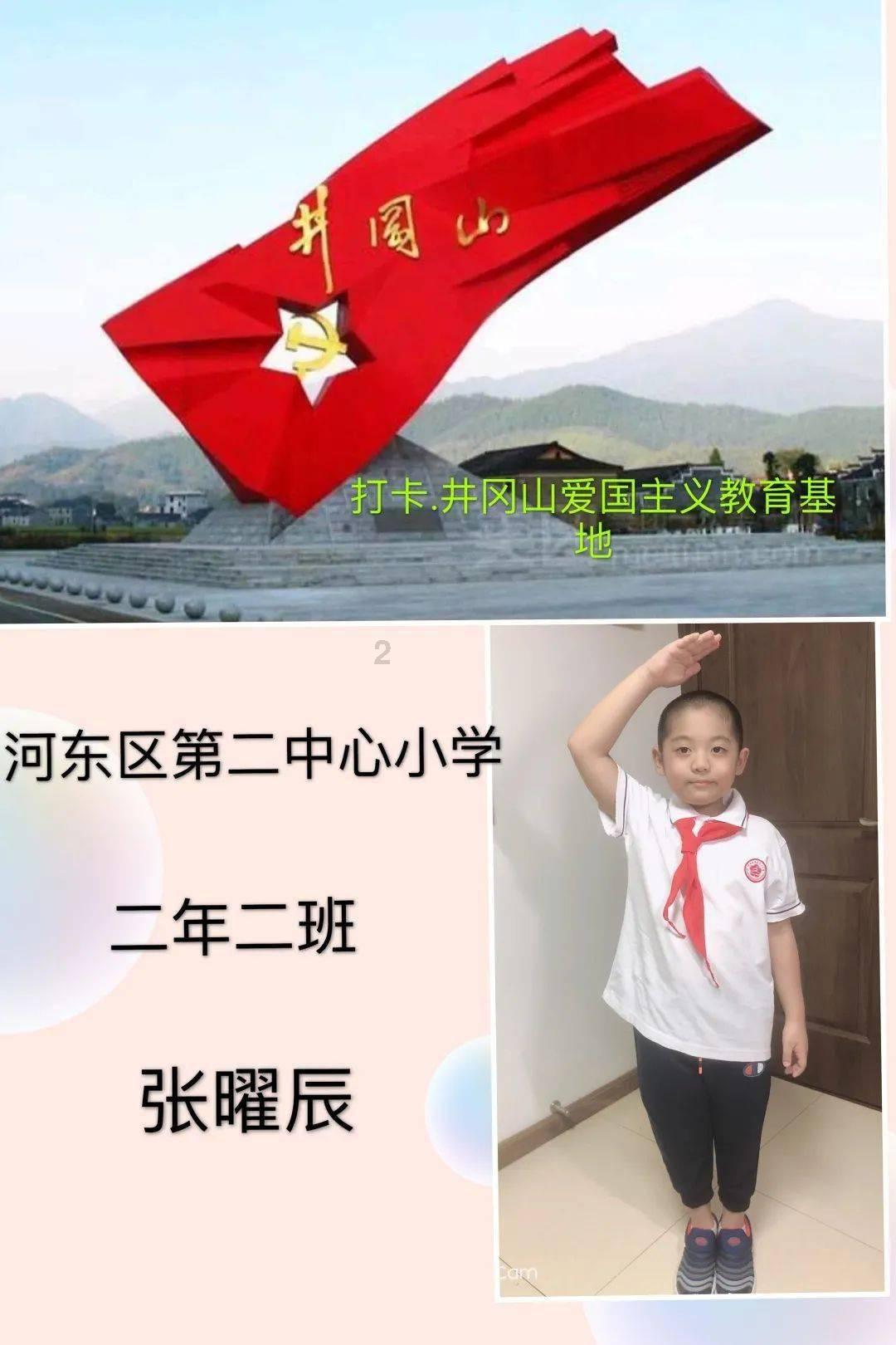 春雨直播app